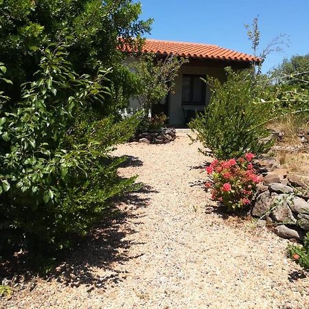 אורוסיי Agriturismo Su Birde מראה חיצוני תמונה