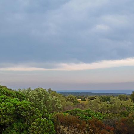 אורוסיי Agriturismo Su Birde מראה חיצוני תמונה