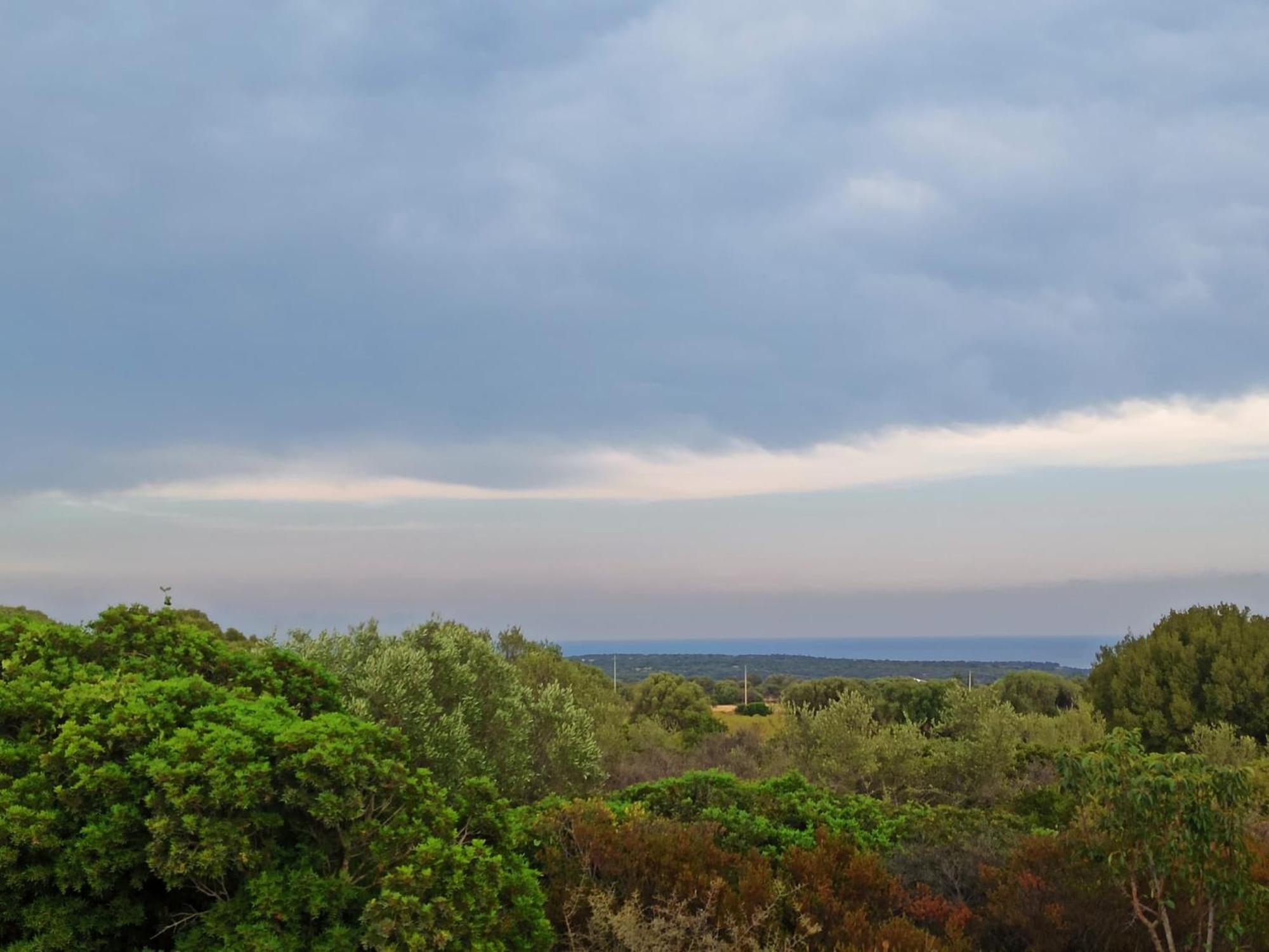 אורוסיי Agriturismo Su Birde מראה חיצוני תמונה
