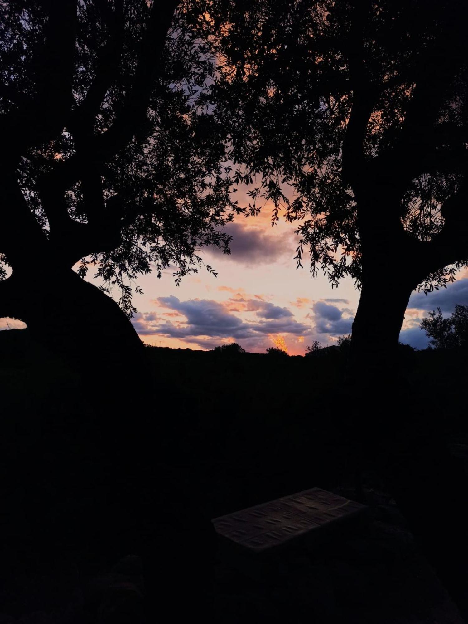 אורוסיי Agriturismo Su Birde מראה חיצוני תמונה